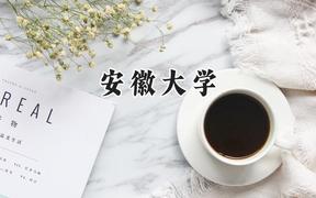 2024安徽大学录取分数线：陕西最低545分